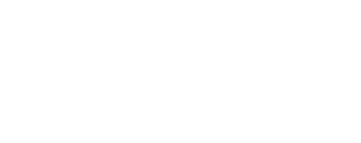 iso9001w